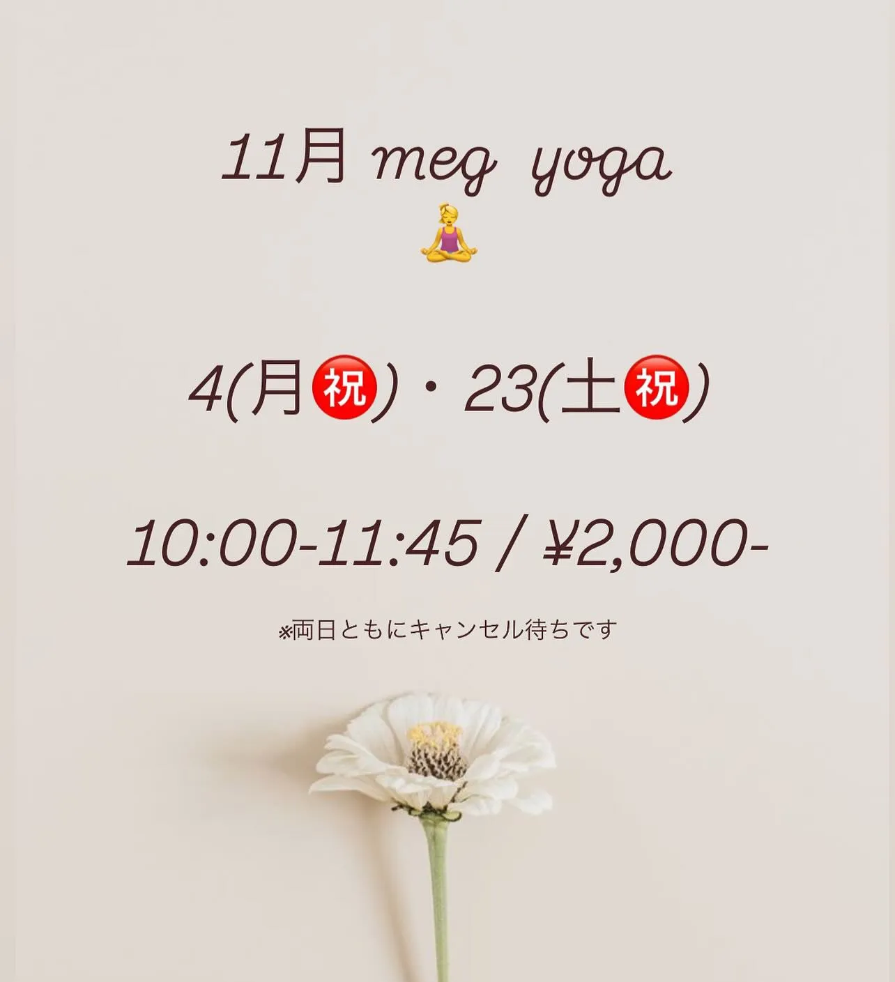 11月Nomadでmegヨガ🧘‍♀️