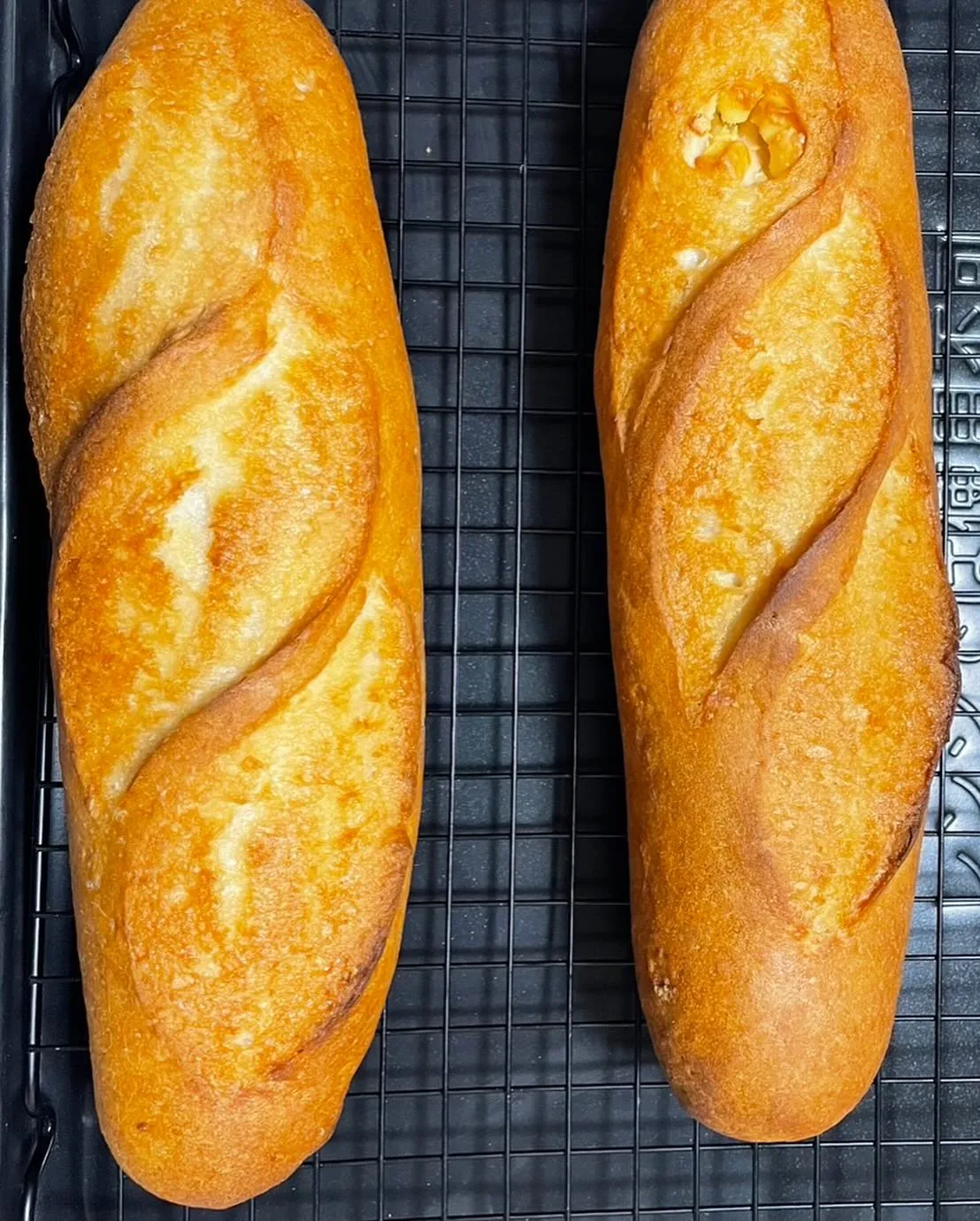 2025年4月20日(日)開催！SHIRAKI Nomad4...