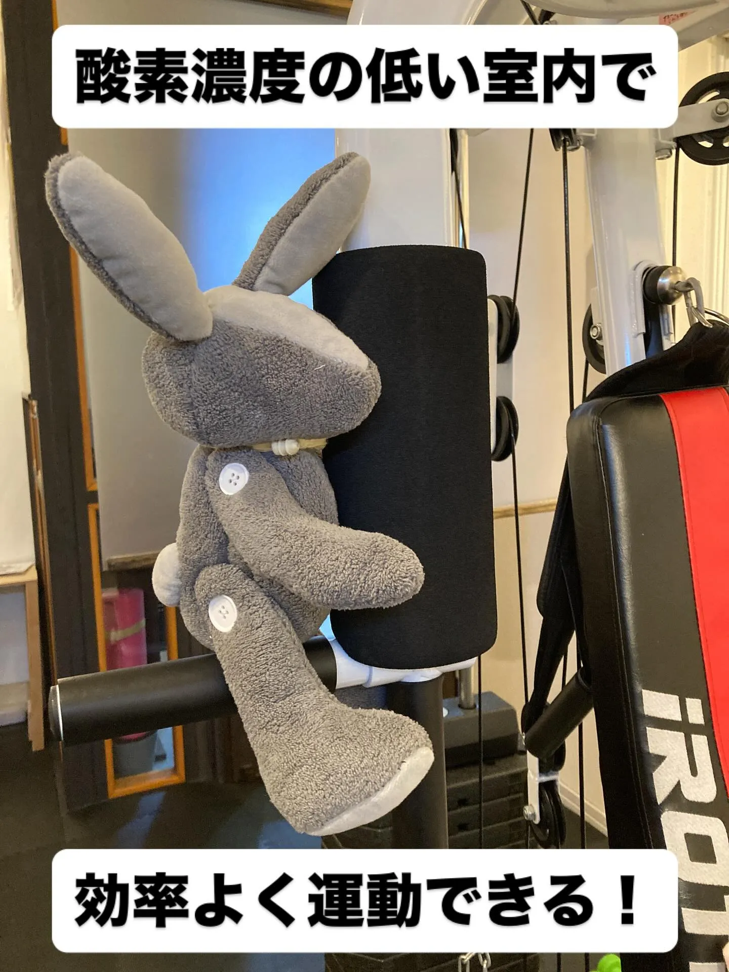 暑い夏は短時間で効率よくトレーニング！