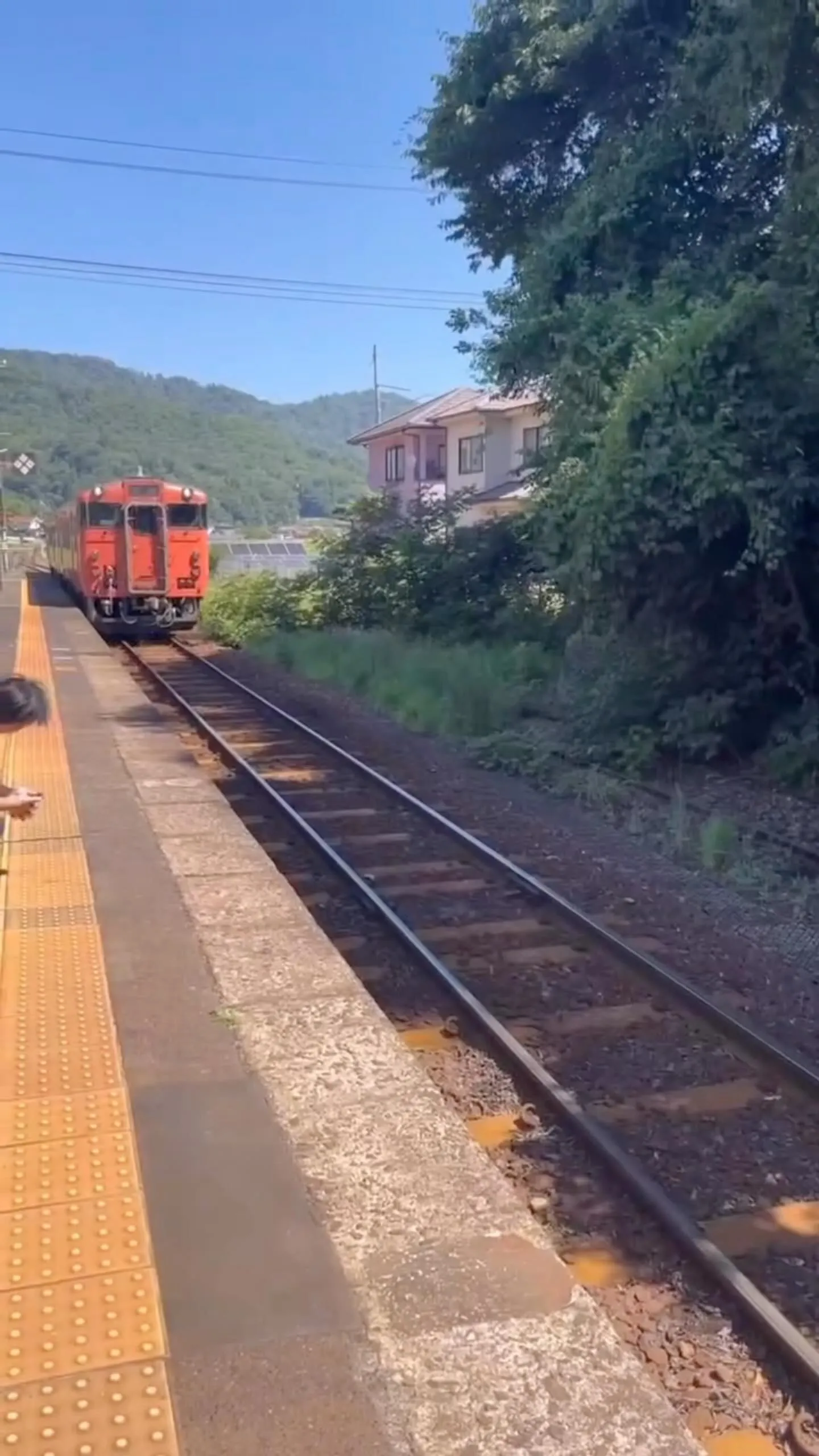 2025年8月2日（土）芸備線に乗って平和公園へ行こう！